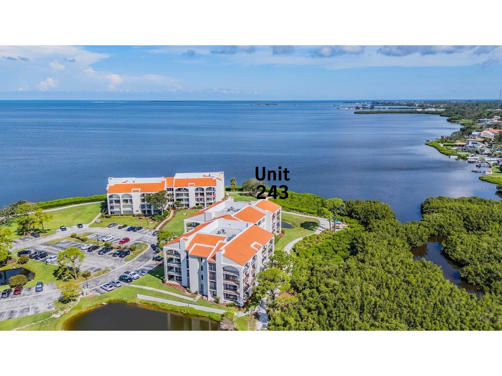243 Mariner Drive #243 Tarpon Springs FL 34689 - GULF SNEAD CREEK W7887935 image2