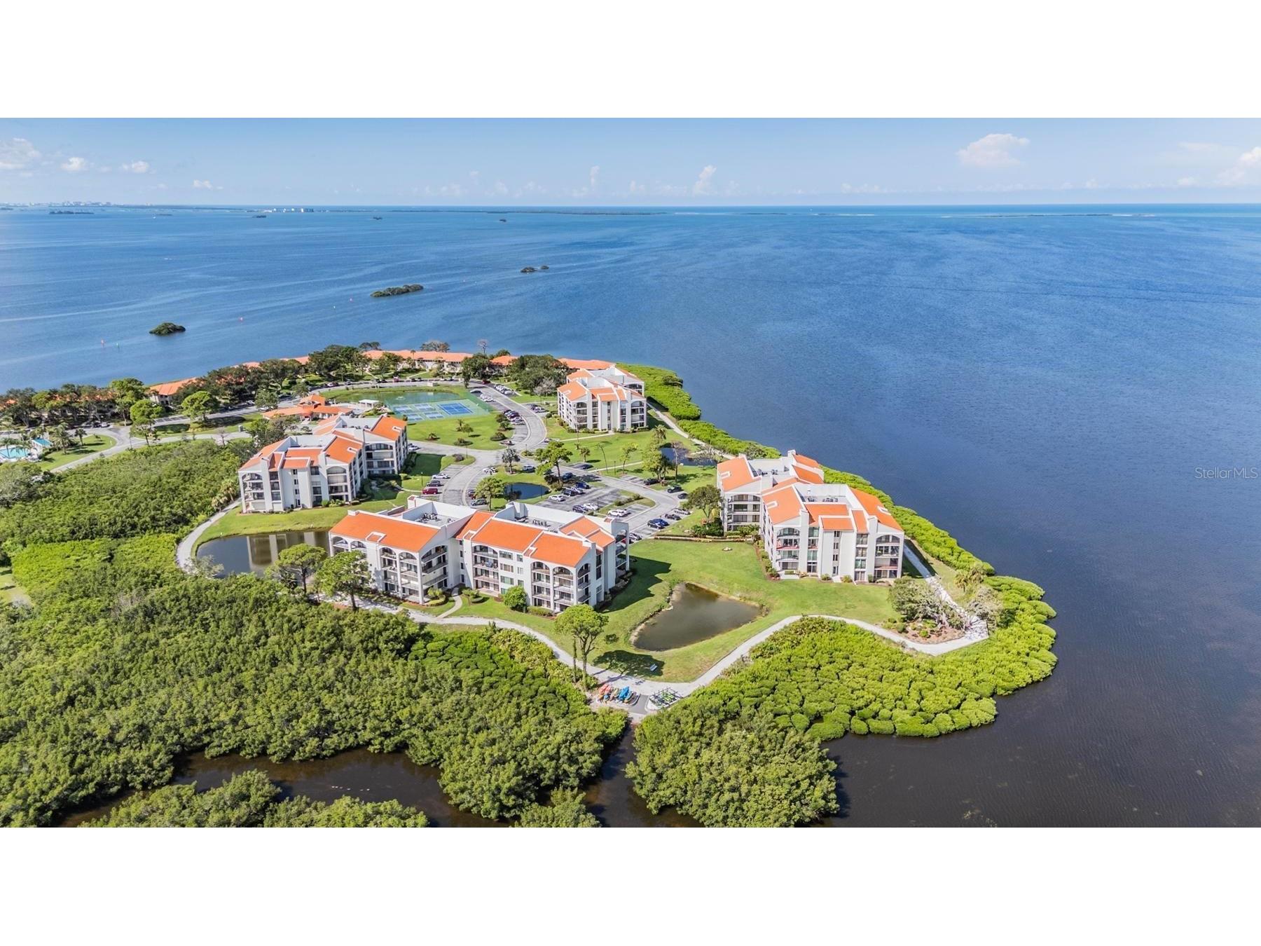 243 Mariner Drive #243 Tarpon Springs FL 34689 - GULF SNEAD CREEK W7887935 image26