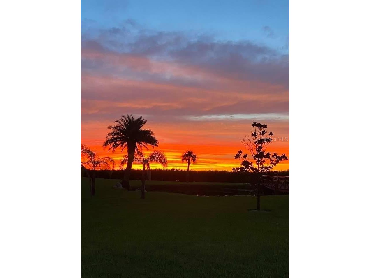 243 Mariner Drive #243 Tarpon Springs FL 34689 - GULF SNEAD CREEK W7887935 image33