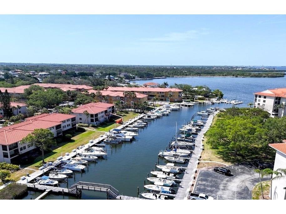 243 Mariner Drive #243 Tarpon Springs FL 34689 - GULF SNEAD CREEK W7887935 image34
