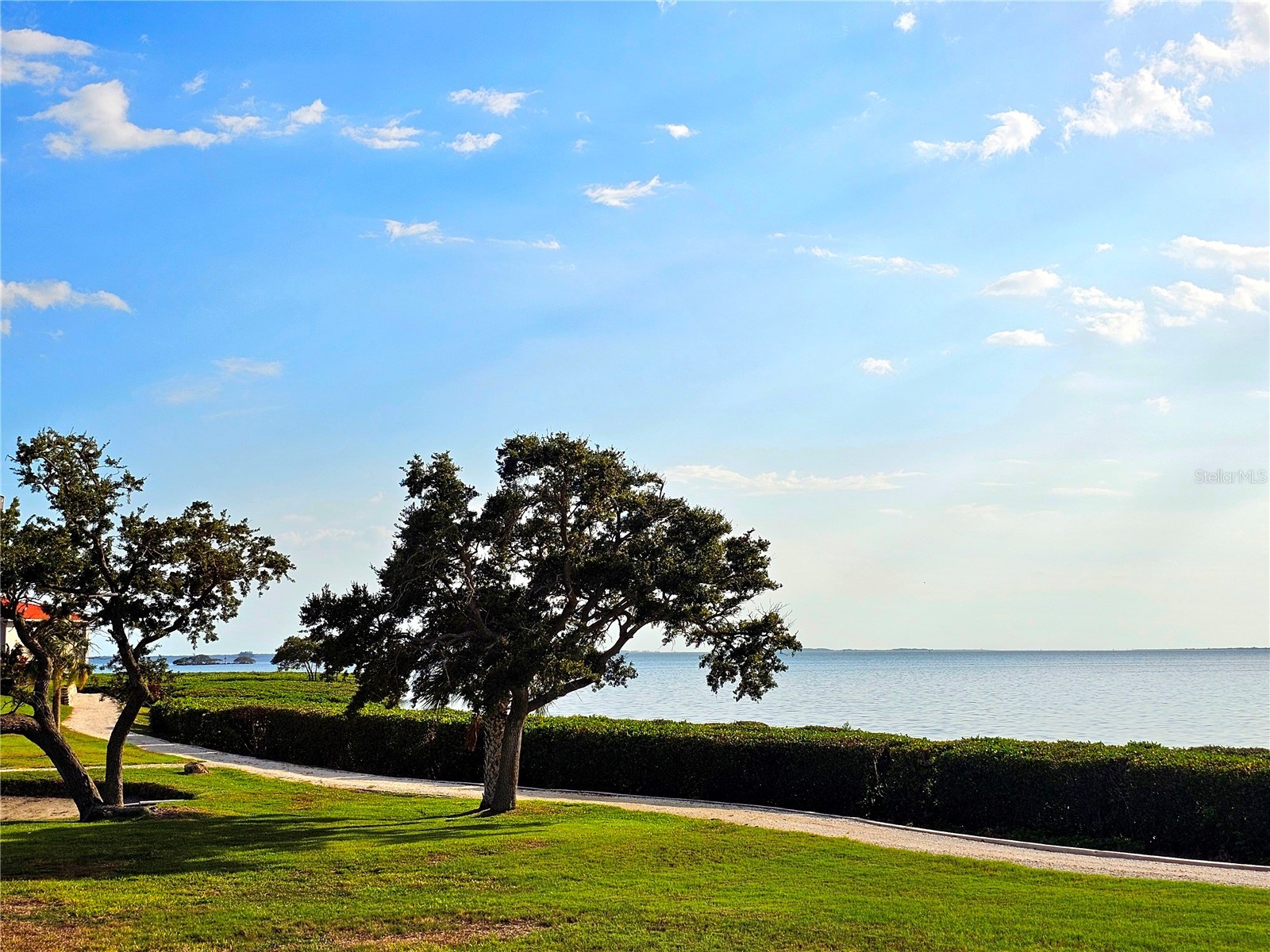 243 Mariner Drive #243 Tarpon Springs FL 34689 - GULF SNEAD CREEK W7887935 image41