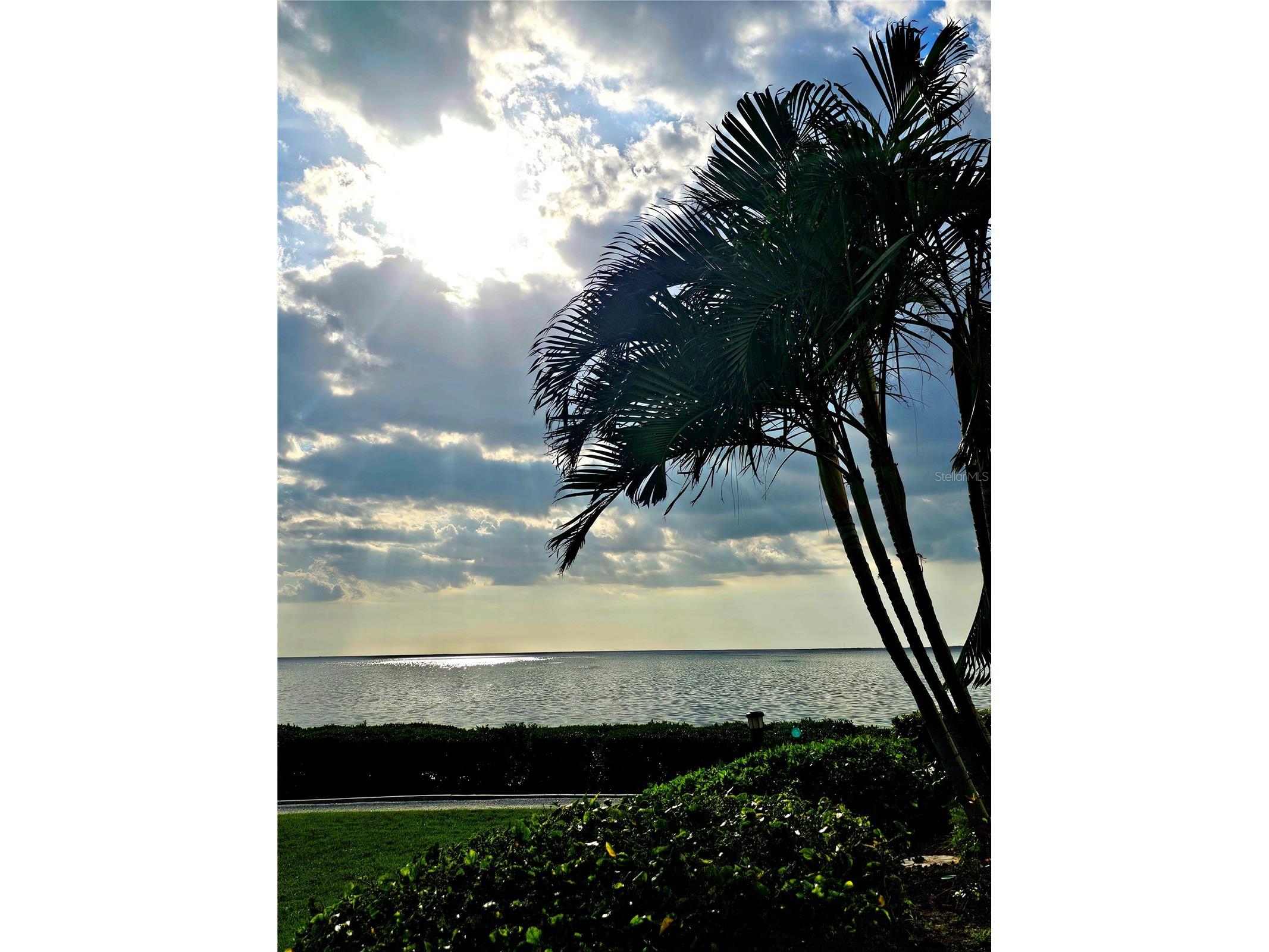 243 Mariner Drive #243 Tarpon Springs FL 34689 - GULF SNEAD CREEK W7887935 image42