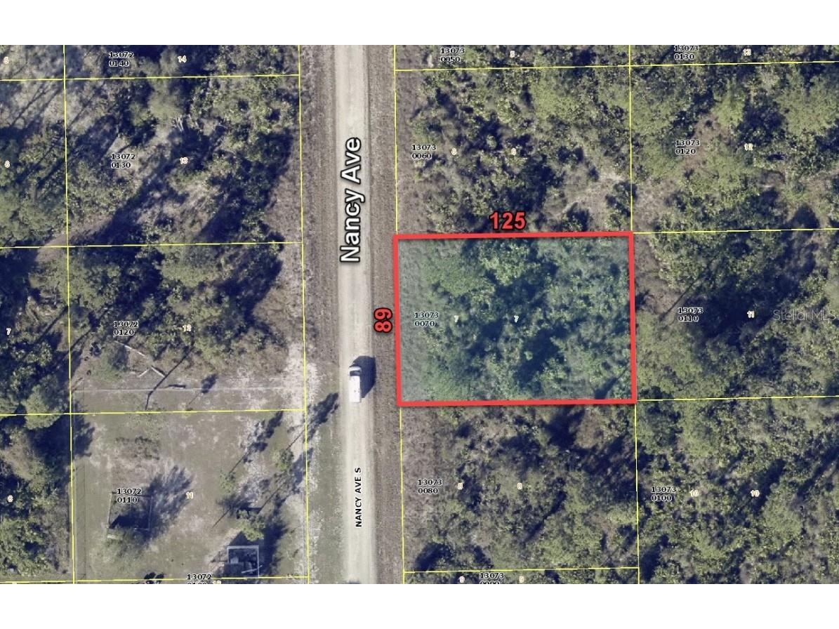 243 Nancy Avenue S Lehigh Acres FL 33974 O6176827 image1