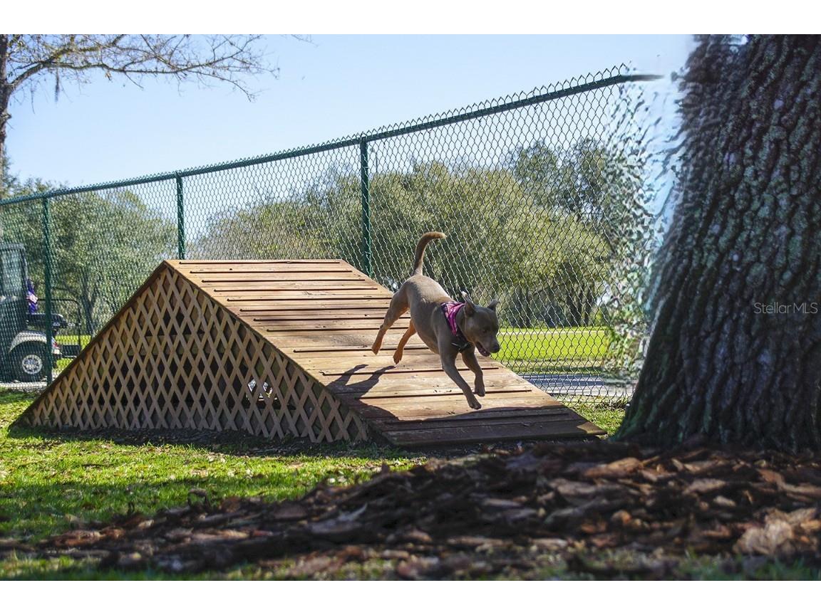 243 New River Drive Kissimmee FL 34759 S5135378 image75