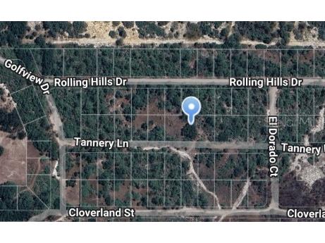 243 Rolling Hills Drive #LT2 Lake Placid FL 33852 OM708101 image1