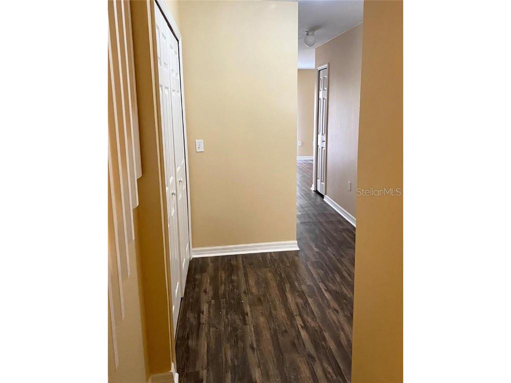 243 Royal Palm Drive Kissimmee FL 34743 G5099701 image4