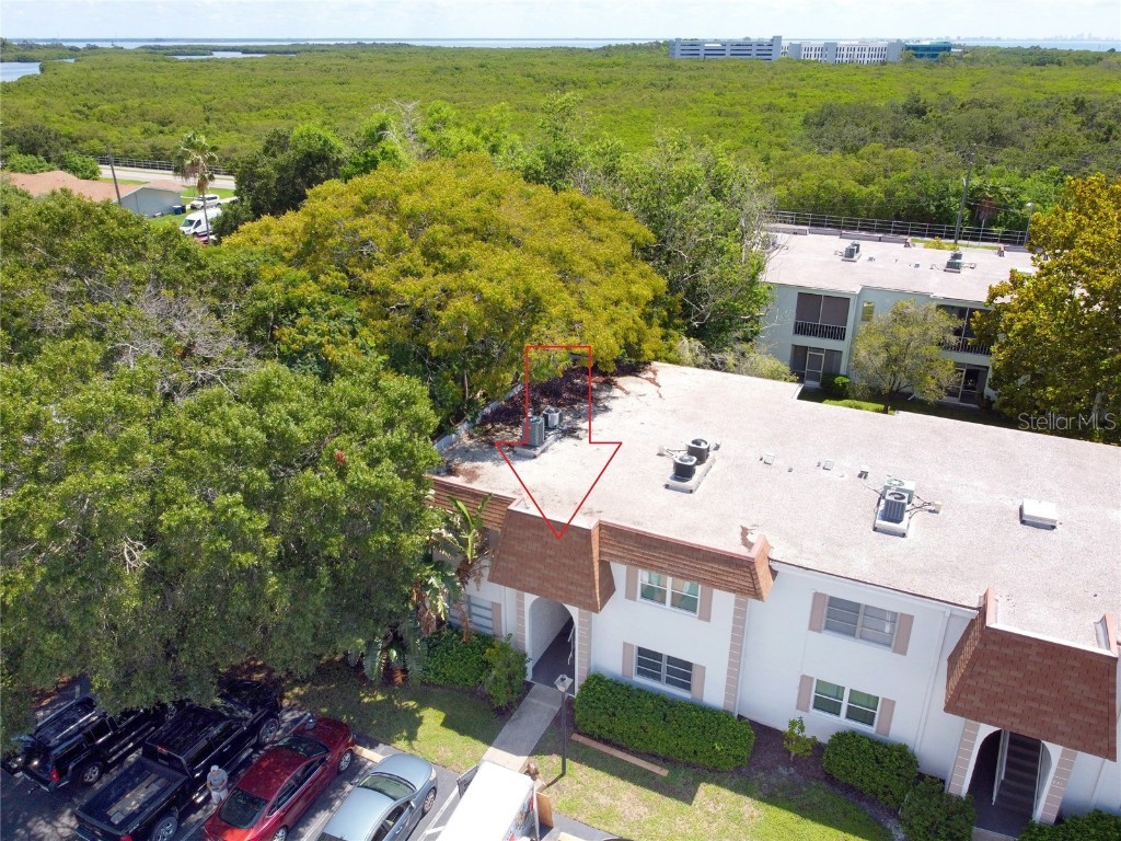 243 S Mcmullen Booth Road #29 Clearwater FL 33759 T3463563 image1