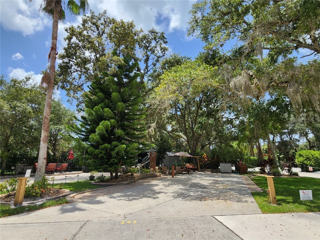 243 Saddle Lane Lake Wales FL 33898 P4926500 image1