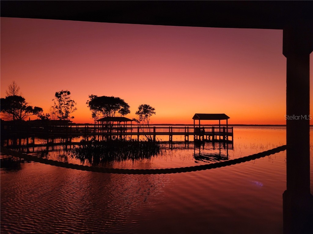 243 Zachary Wade Street Winter Garden FL 34787 O6368057 image50