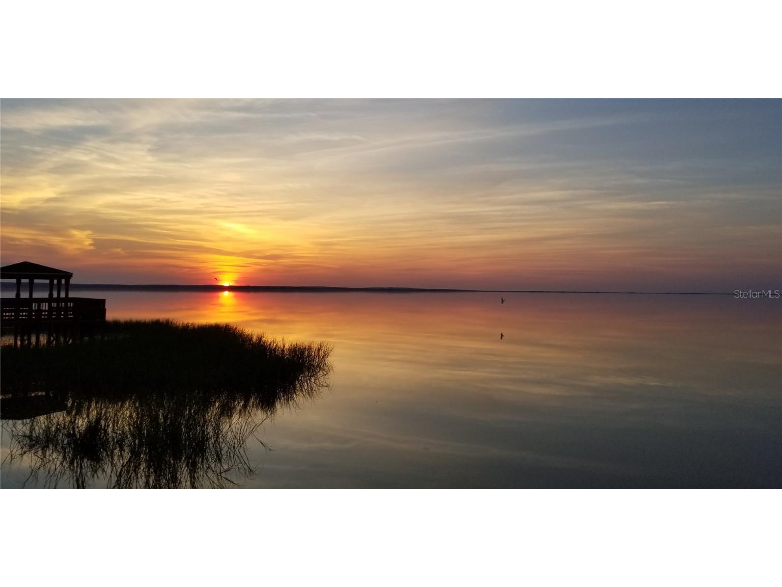 243 Zachary Wade Street Winter Garden FL 34787 O6368057 image51