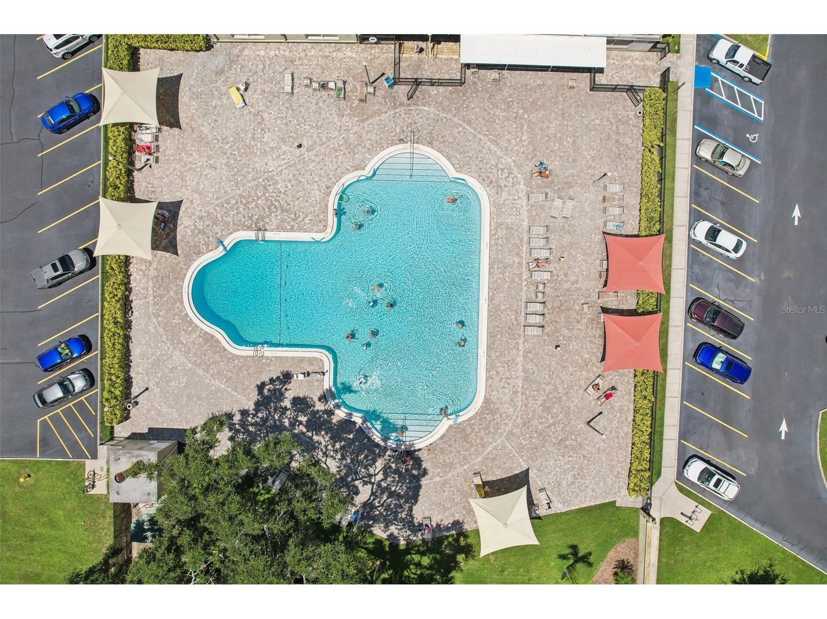 2430 Brazilia Drive #24 Clearwater FL 33763 TB8473337 image40