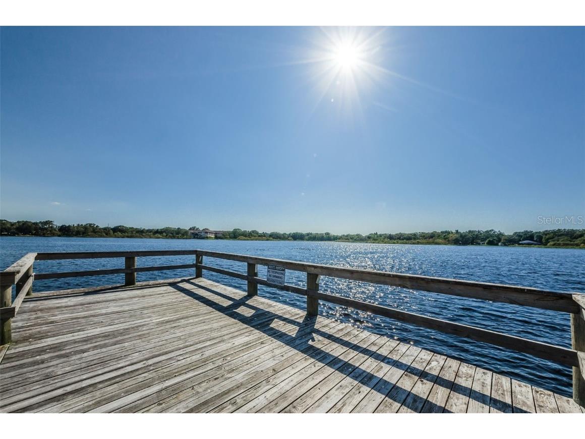 2430 Brazilia Drive #28 Clearwater FL 33763 - HARBOR LAKE TB8443949 image63