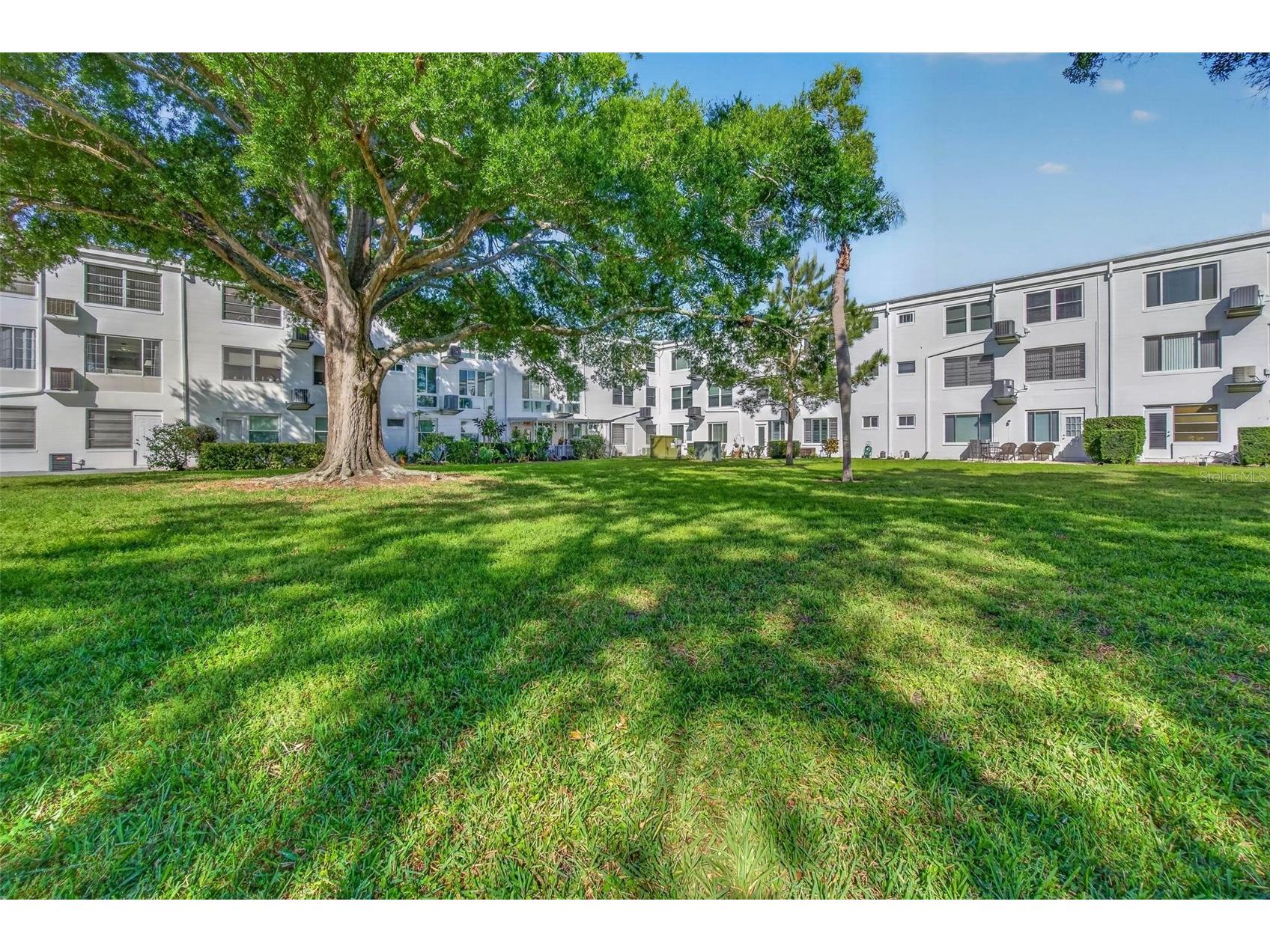 2430 Brazilia Drive #64 Clearwater FL 33763 TB8499382 image19