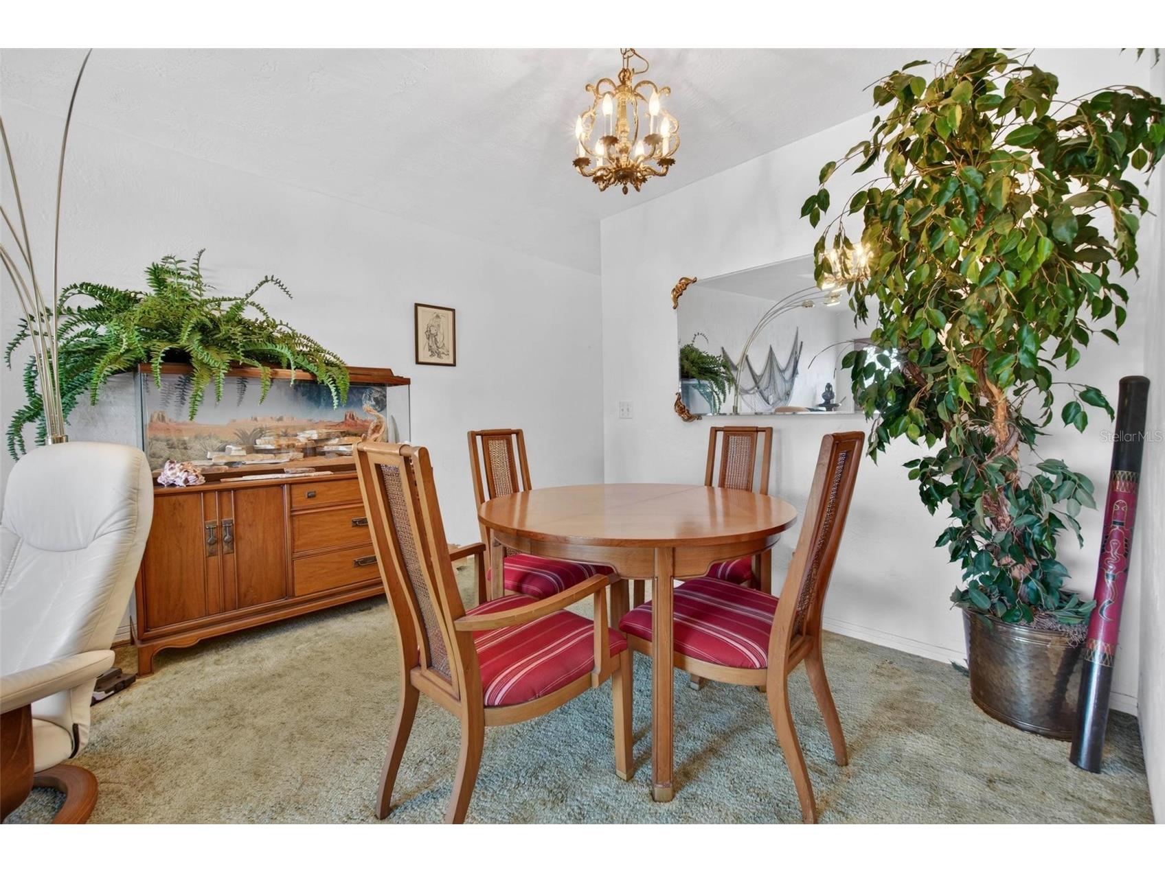 2430 Brazilia Drive #64 Clearwater FL 33763 TB8499382 image5
