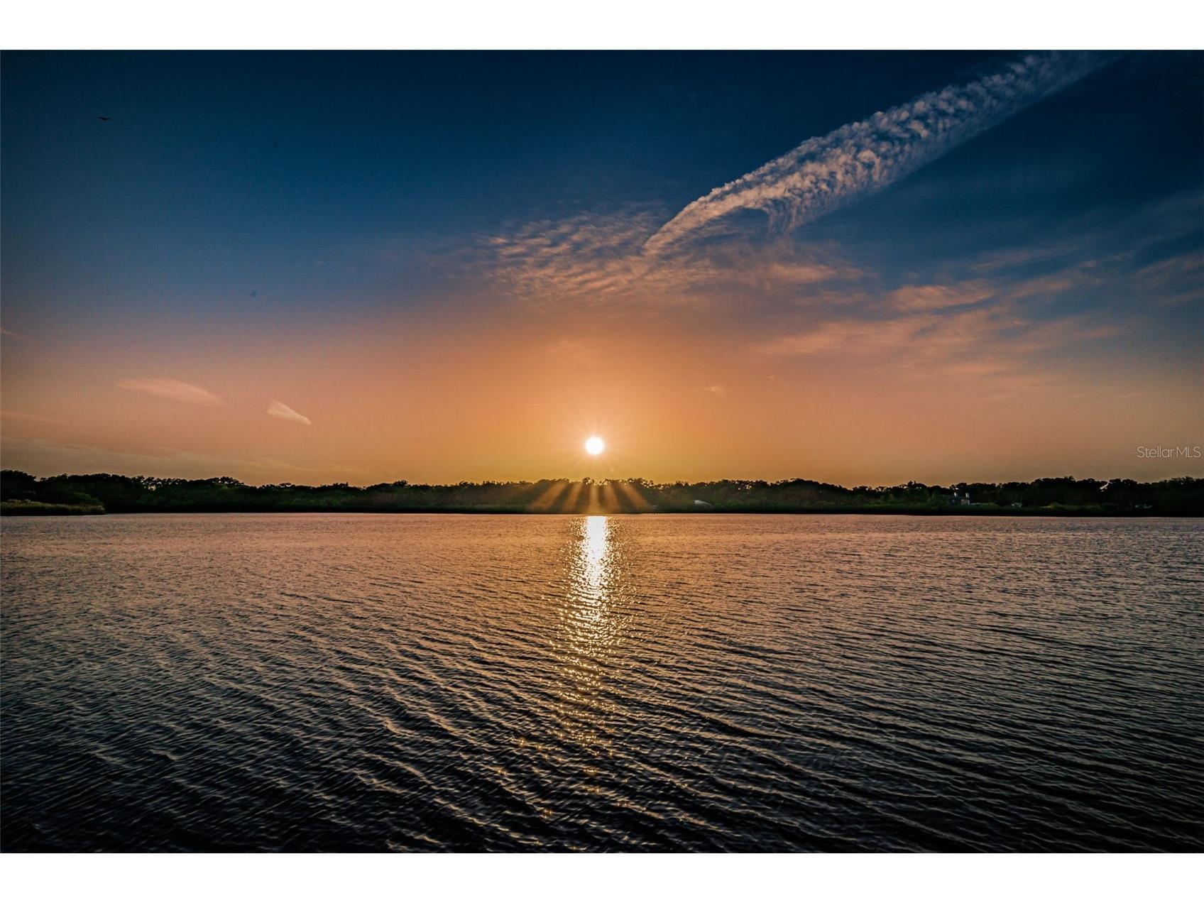 2430 Brazilia Drive #64 Clearwater FL 33763 TB8499382 image58