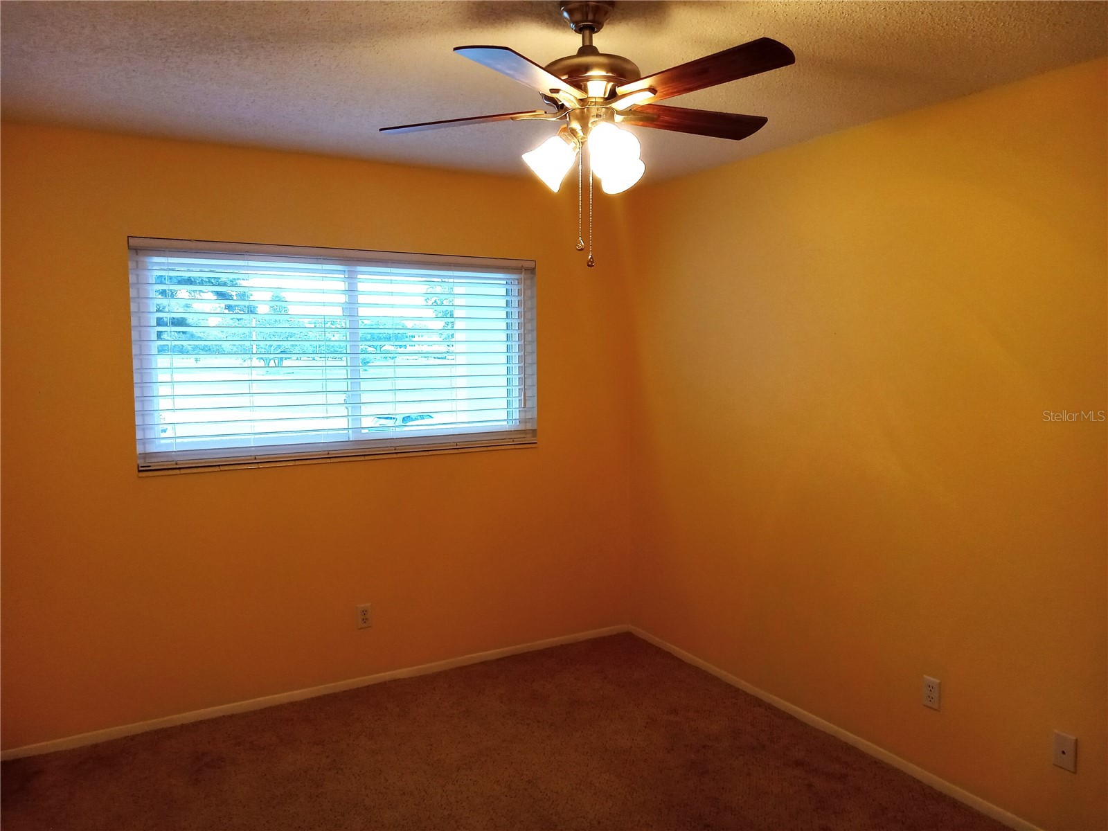 2430 Florentine Way #30 Clearwater FL 33763 TB8527776 image18
