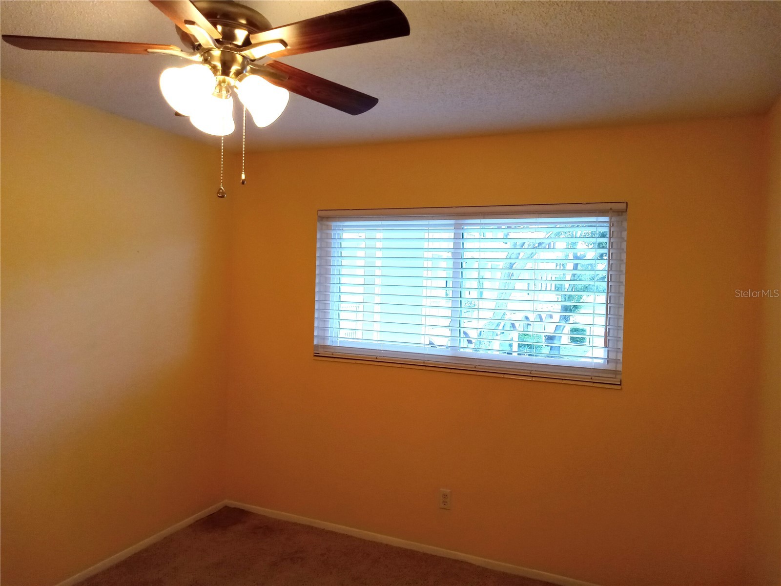 2430 Florentine Way #30 Clearwater FL 33763 TB8527776 image20