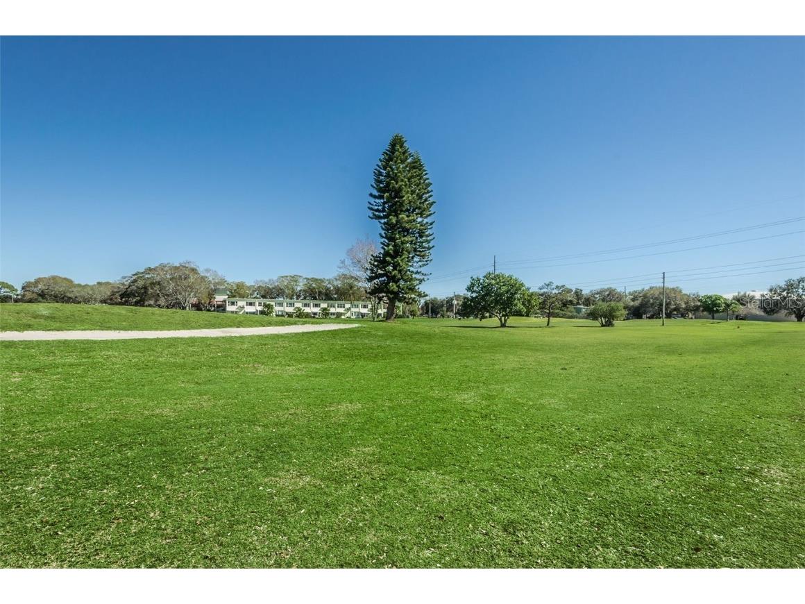 2430 Florentine Way #44 Clearwater FL 33763 TB8452160 image41