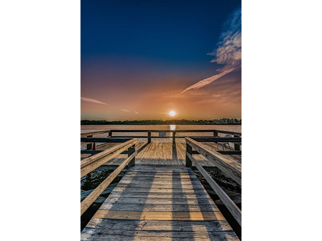 2430 Florentine Way #44 Clearwater FL 33763 TB8452160 image54