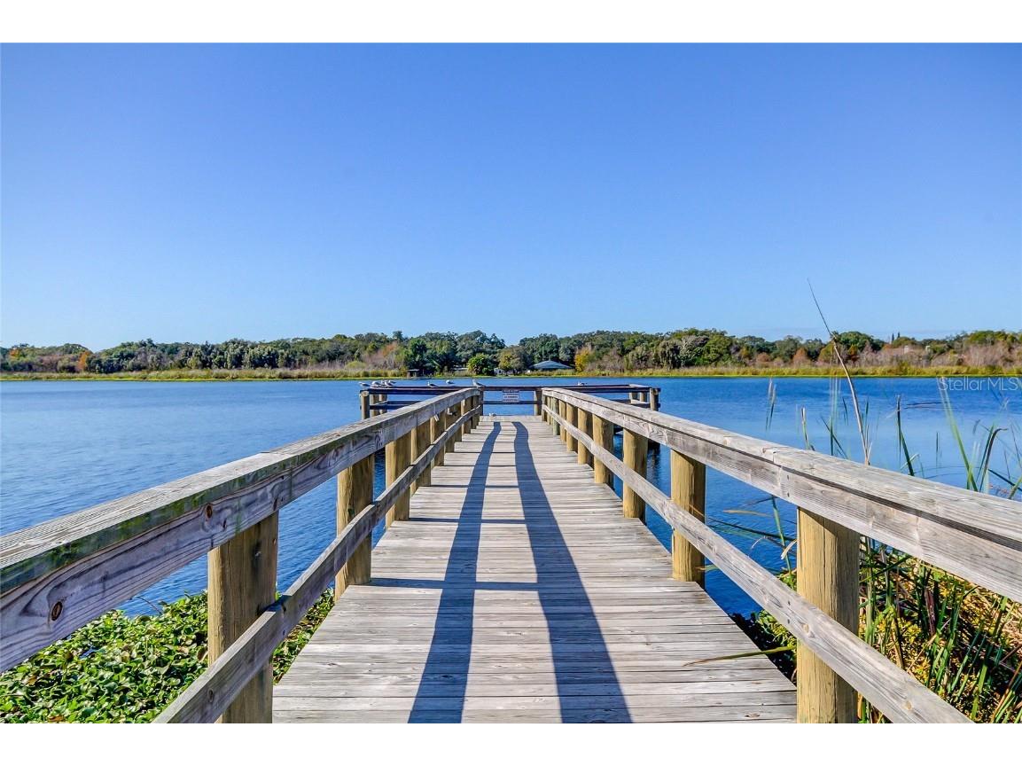 2430 Florentine Way #56 Clearwater FL 33763 TB8426055 image26