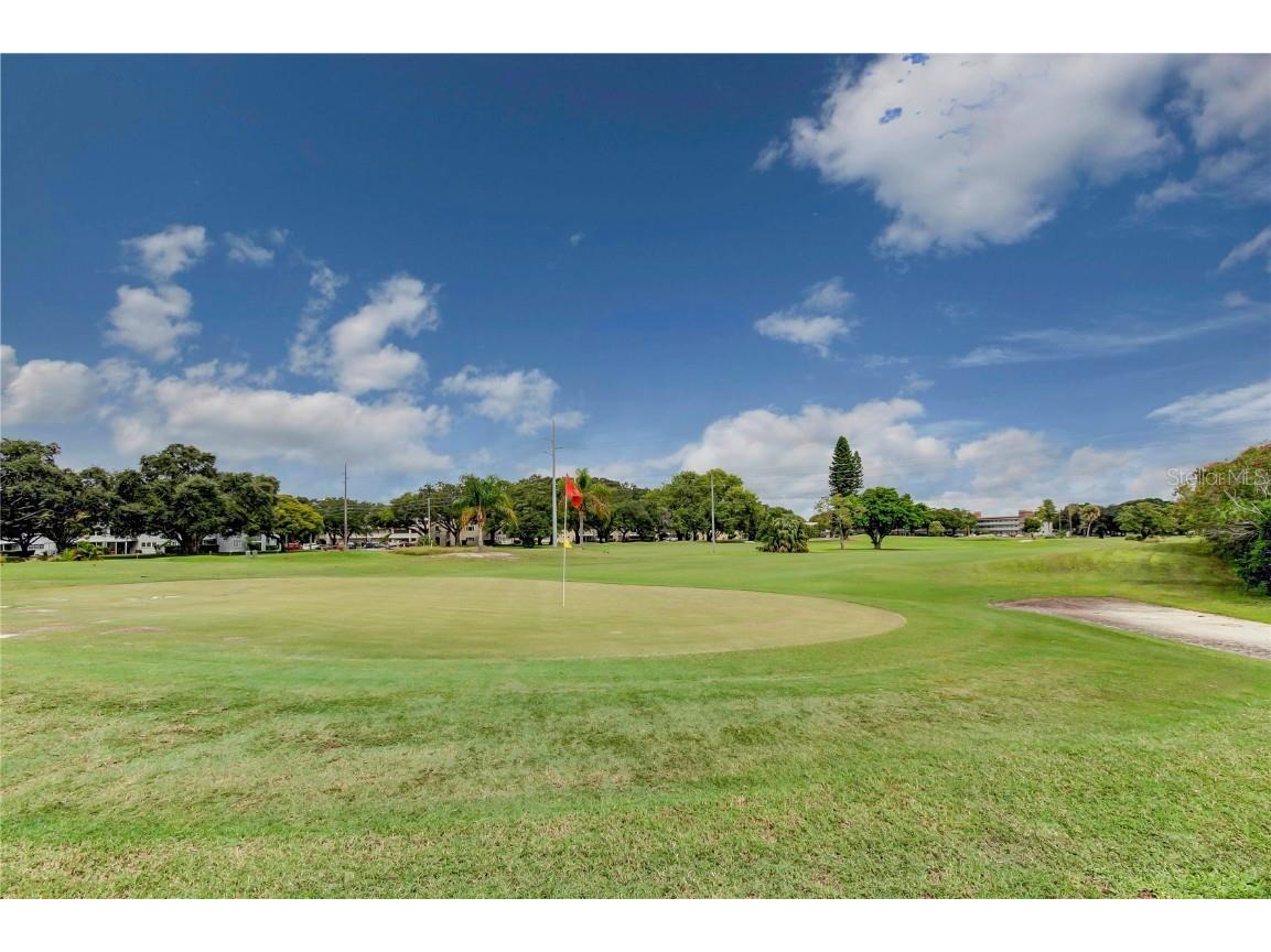 2430 Florentine Way #56 Clearwater FL 33763 TB8426055 image34