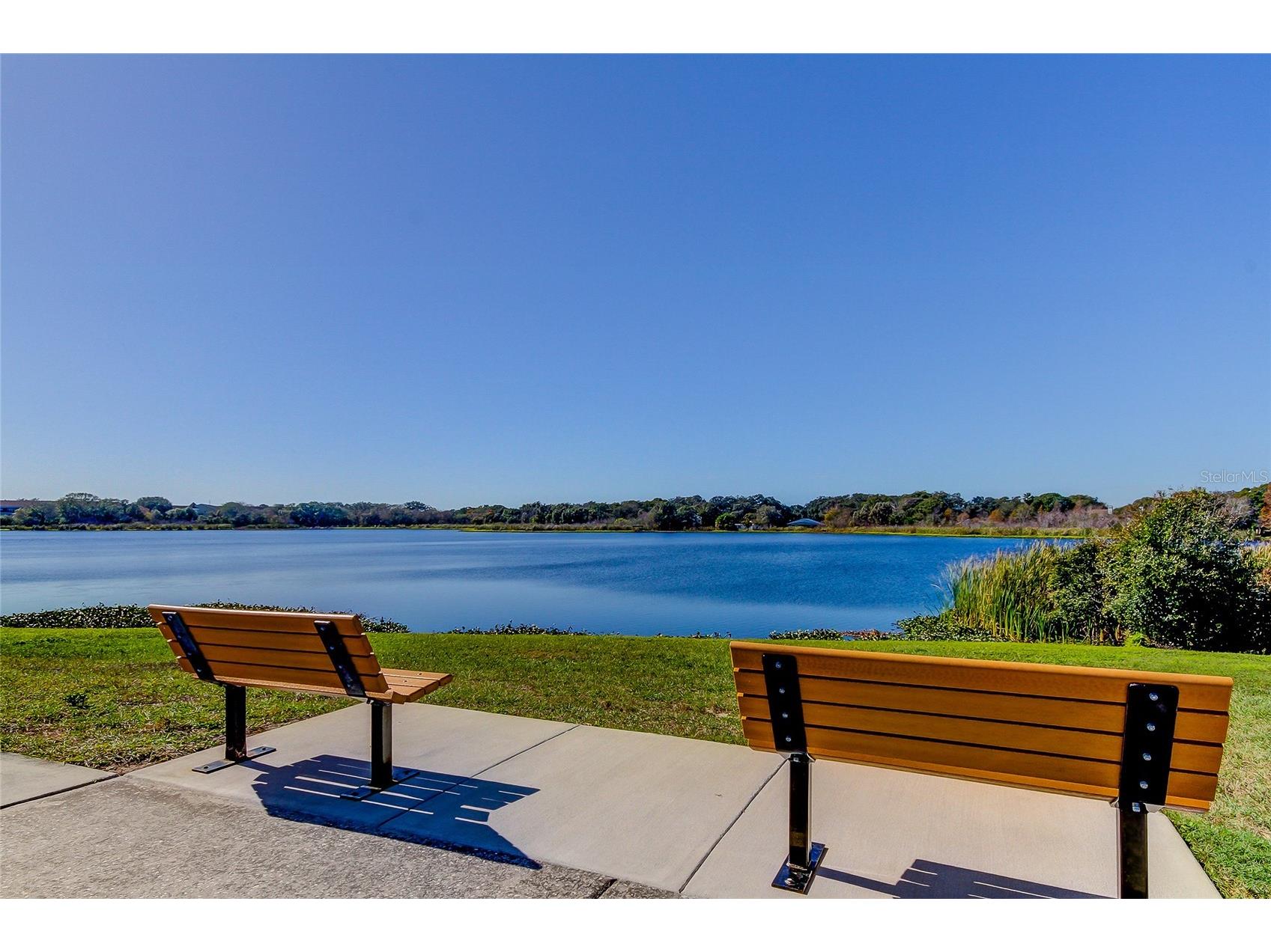 2430 Florentine Way #56 Clearwater FL 33763 TB8528056 image34