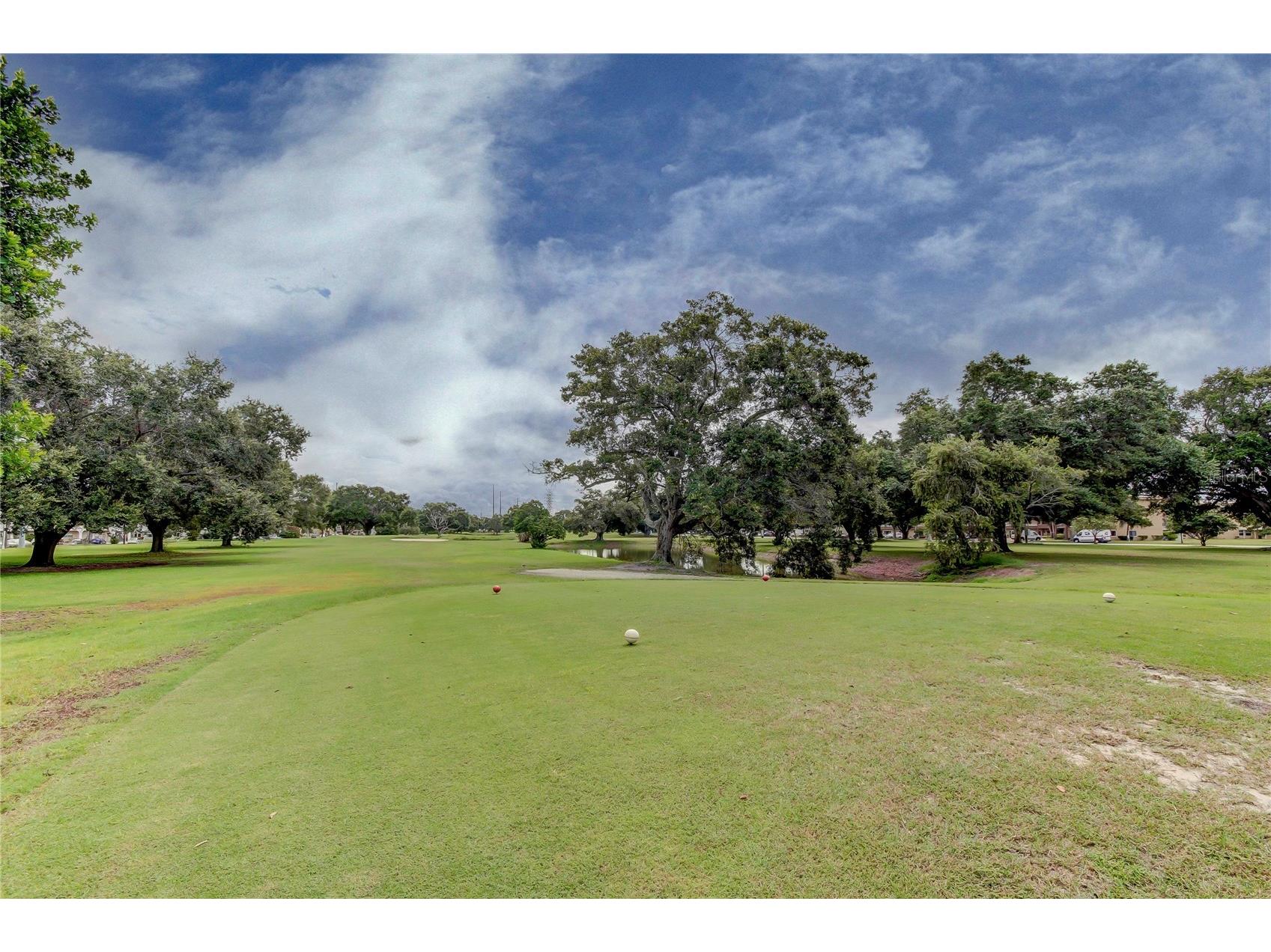 2430 Florentine Way #56 Clearwater FL 33763 TB8528056 image56