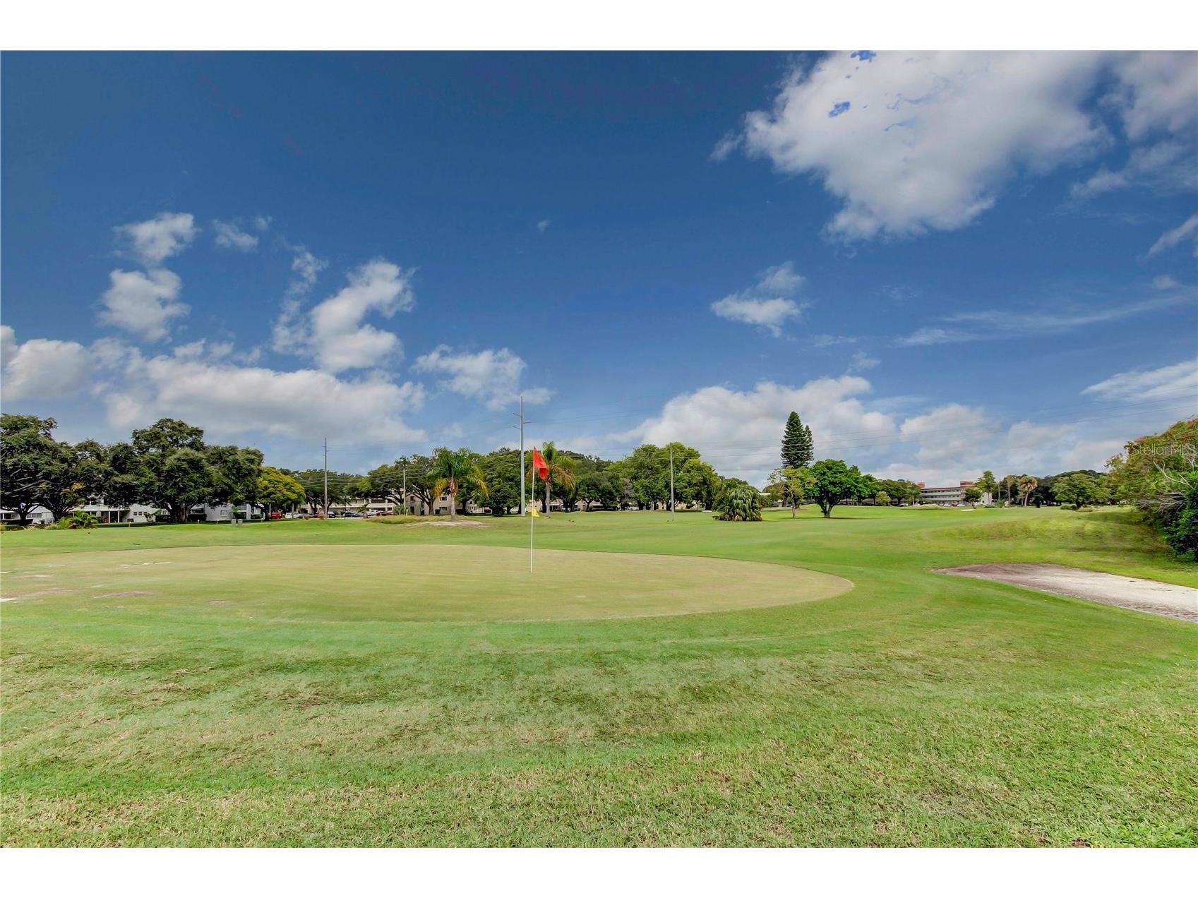 2430 Florentine Way #56 Clearwater FL 33763 TB8528056 image57