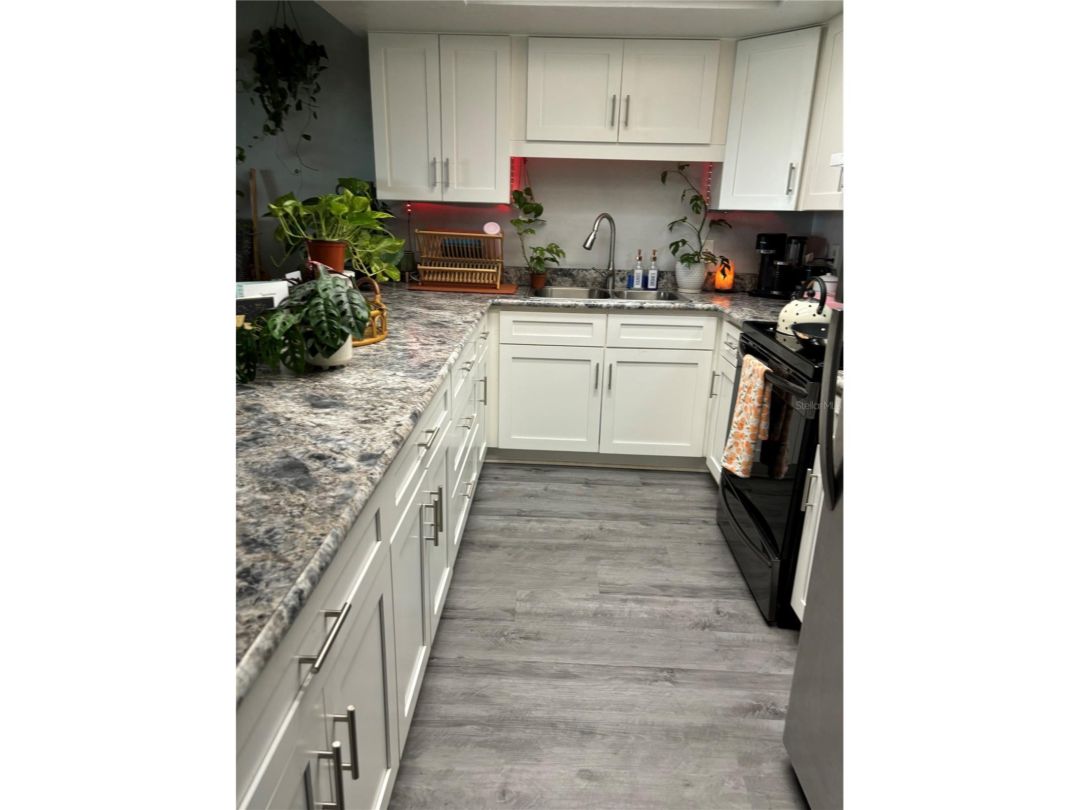 2430 India Palm Drive Edgewater FL 32141 FC318527 image3