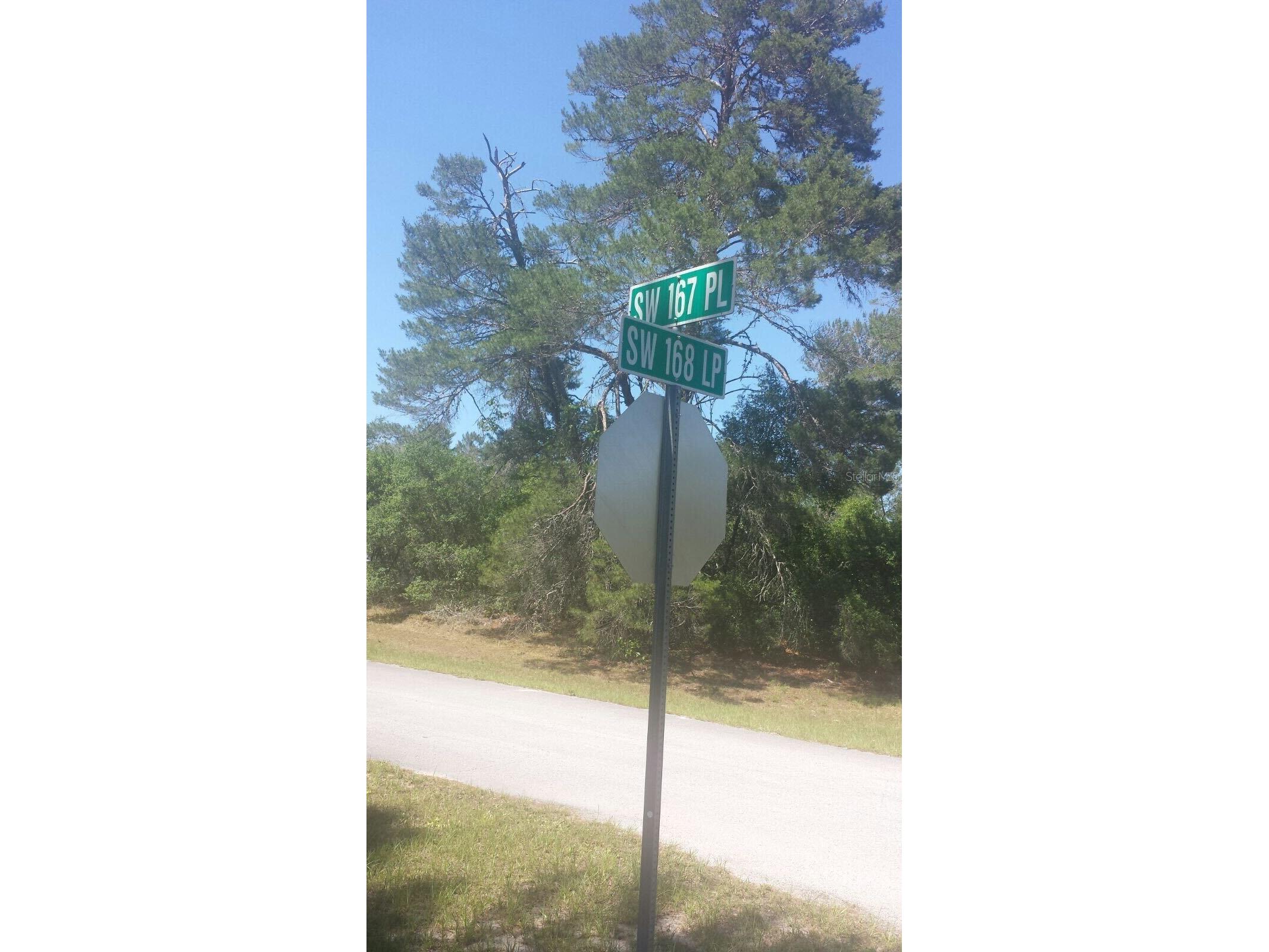 2430 Sw 168 Loop Loop Ocala FL 34473 S5132507 image1