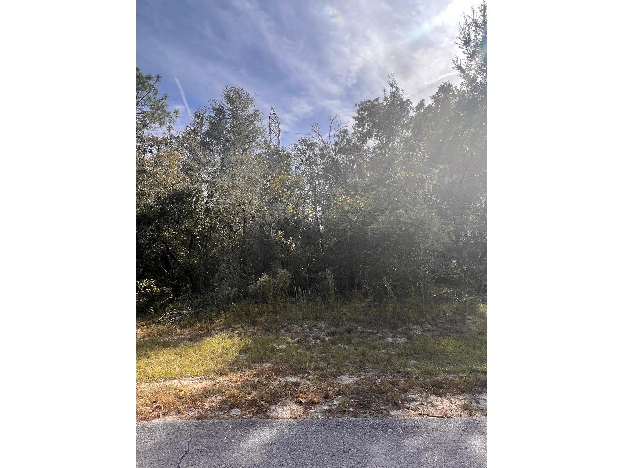 2430 Sw 168 Loop Loop Ocala FL 34473 S5132507 image3