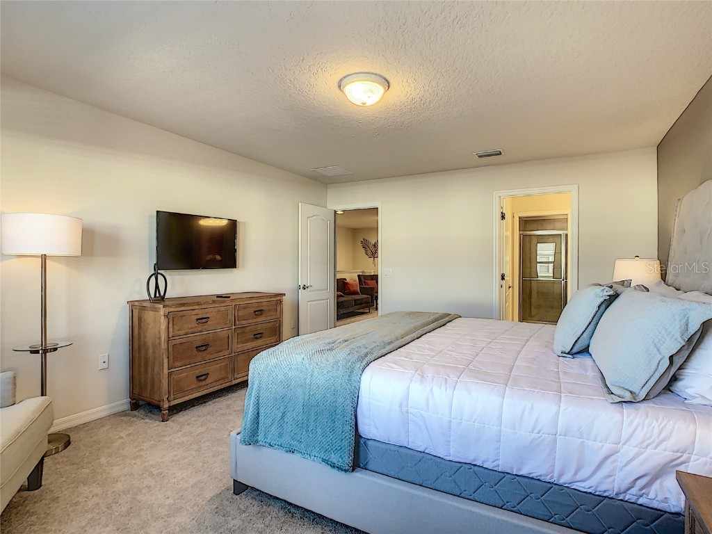 2430 Tangier Drive Kissimmee FL 34747 O6199004 image28