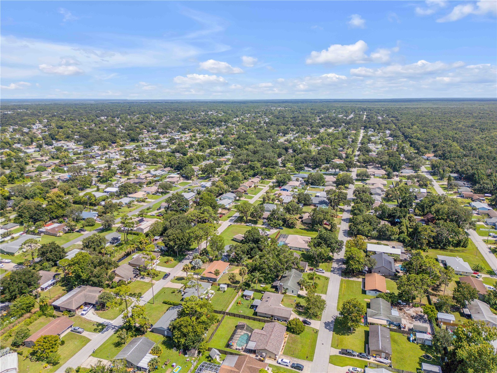 2430 Unity Tree Drive Edgewater FL 32141 NS1087250 image39