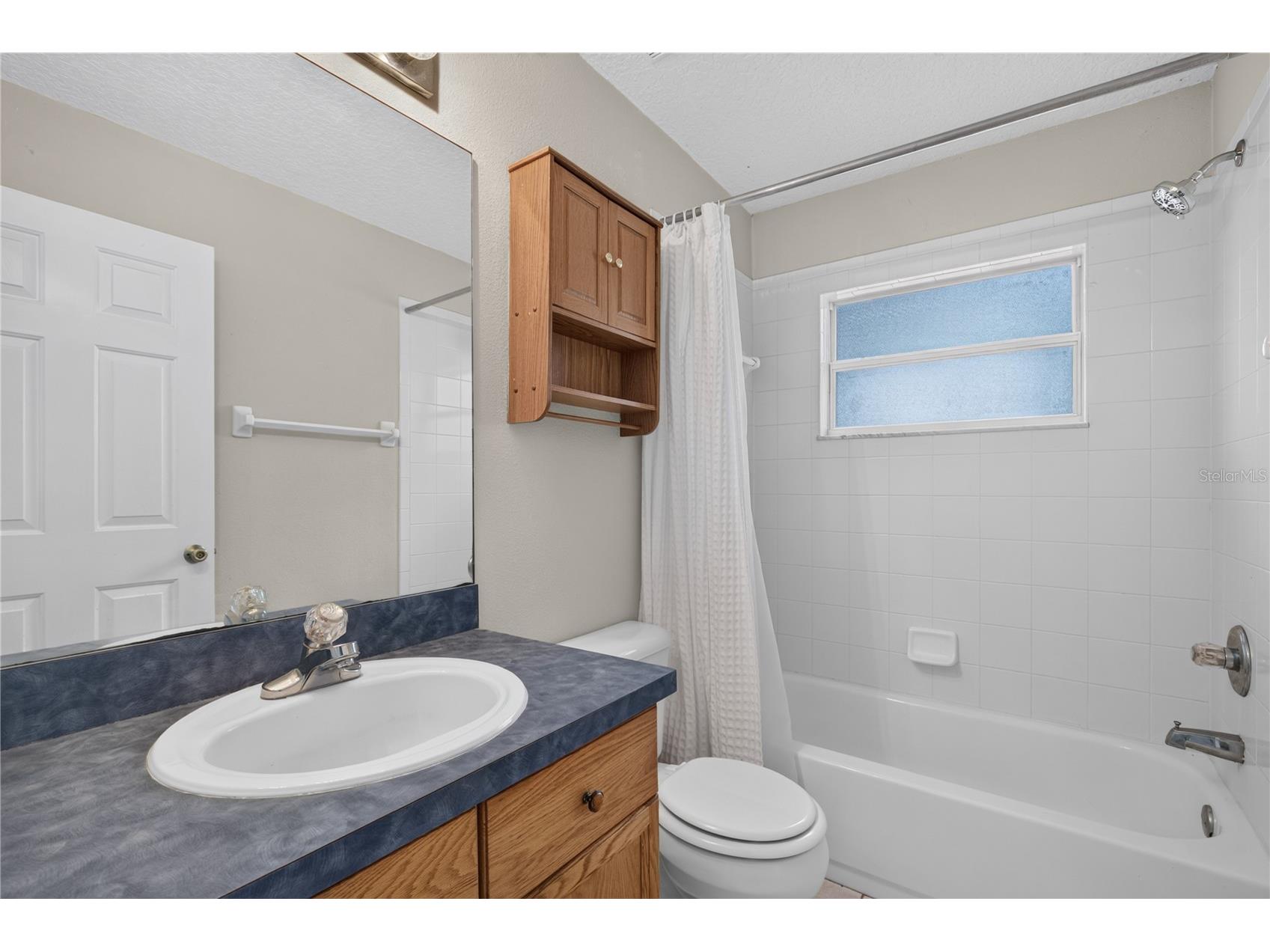 24307 Adair Avenue Sorrento FL 32776 G5115385 image25
