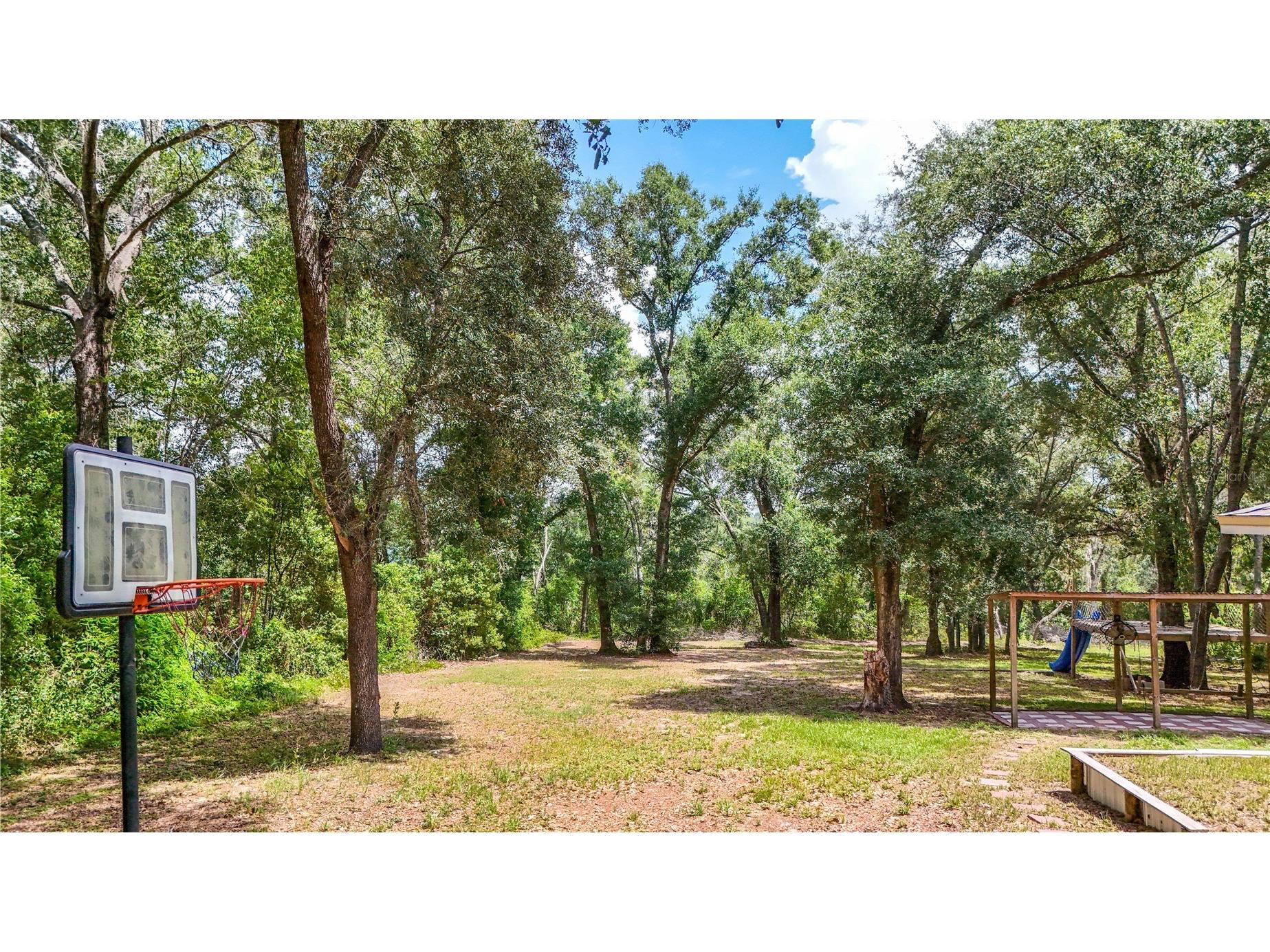 24307 Adair Avenue Sorrento FL 32776 G5115385 image38