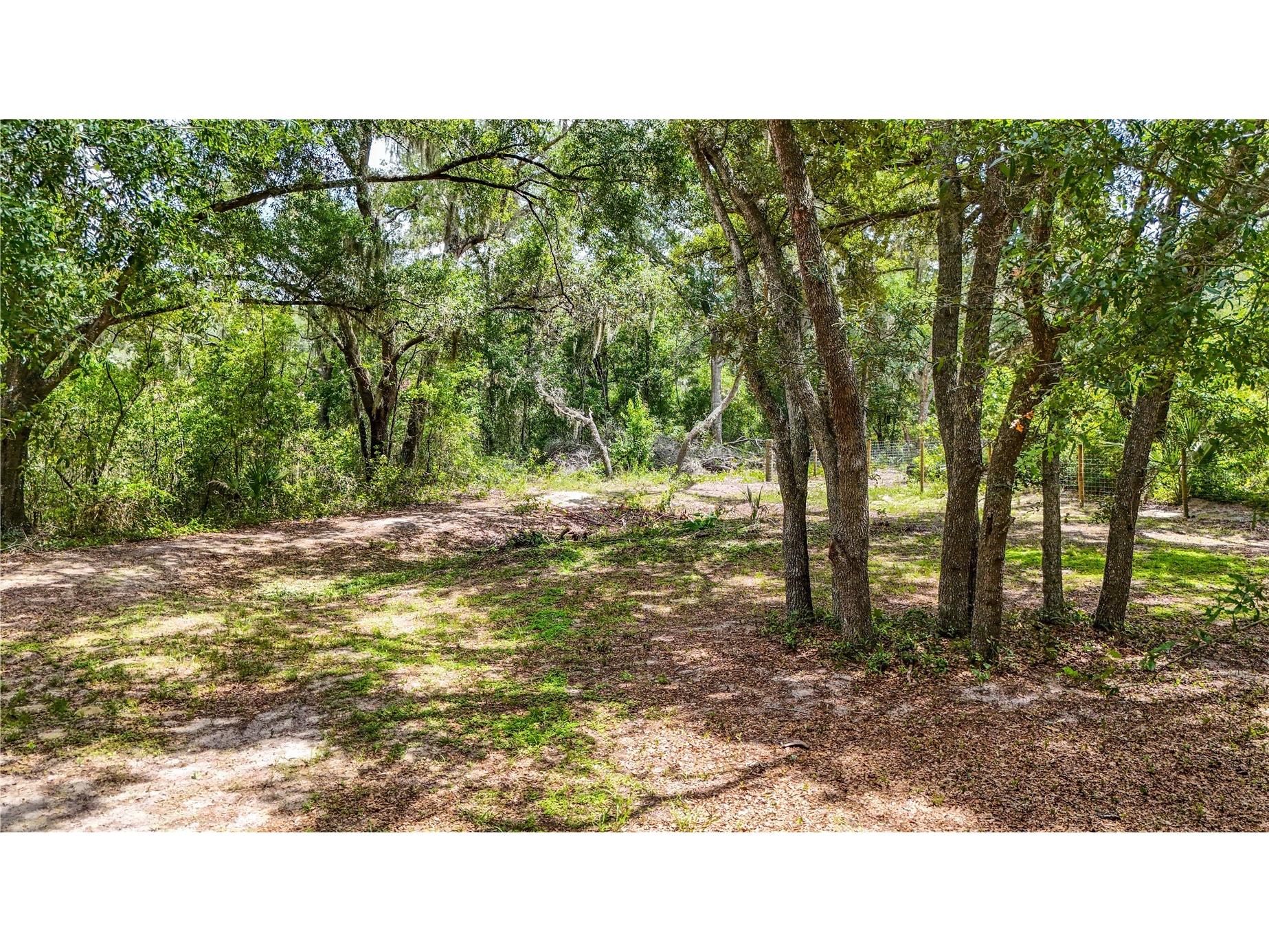 24307 Adair Avenue Sorrento FL 32776 G5115385 image41