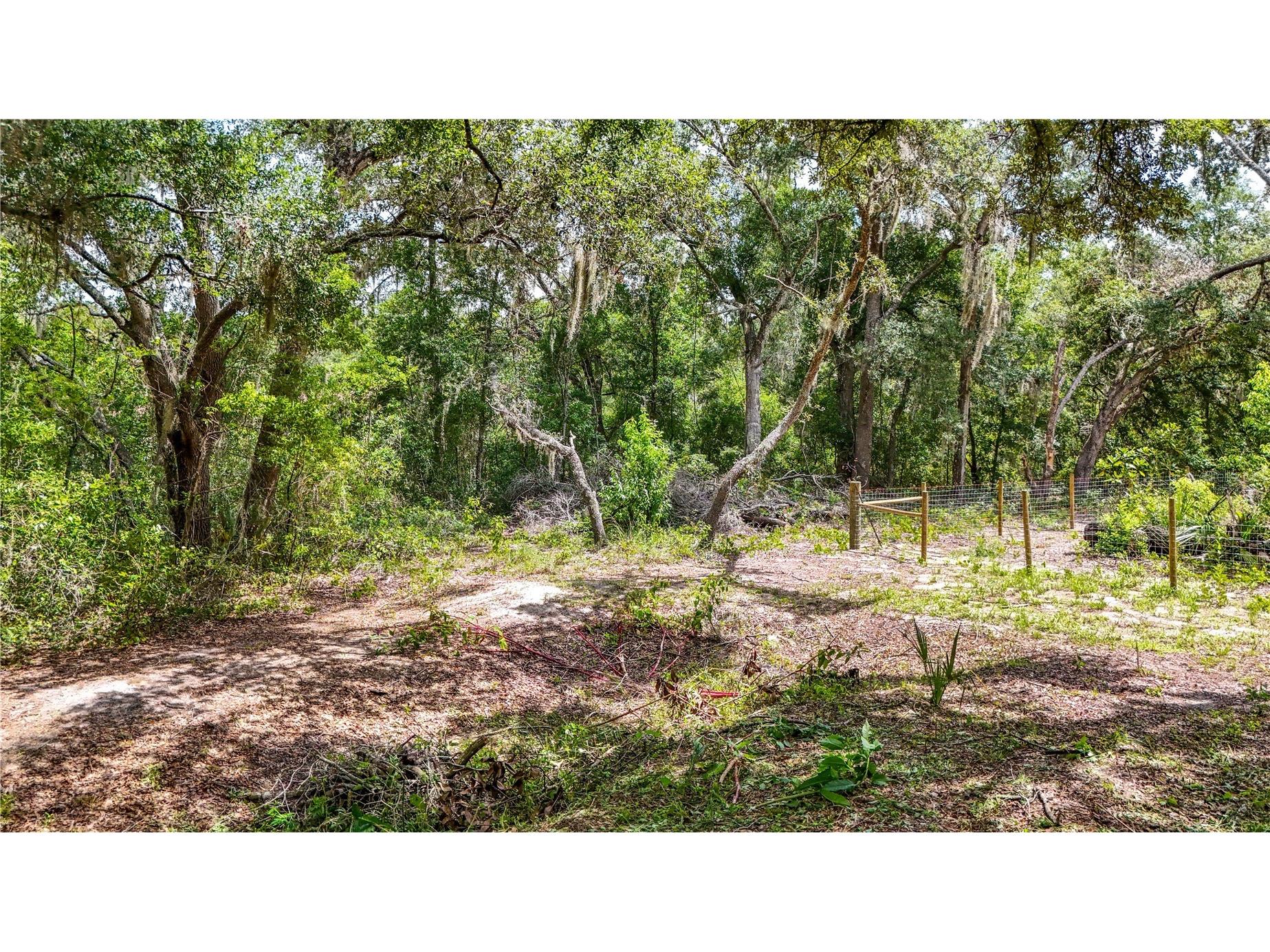 24307 Adair Avenue Sorrento FL 32776 G5115385 image42