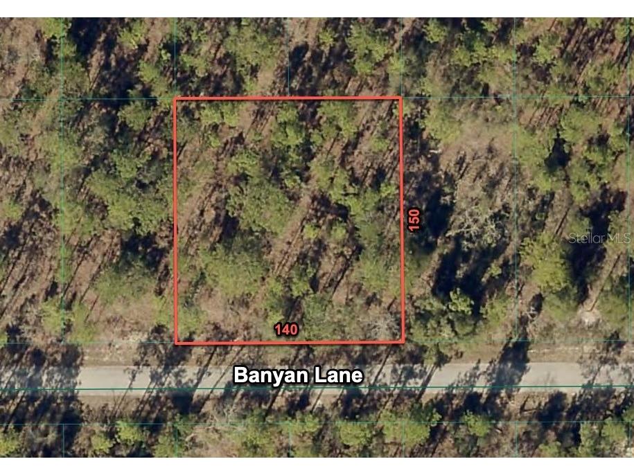 24309 NW Banyan Lane Dunnellon FL 34431 O6381809 image1