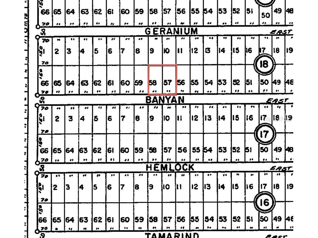 24309 NW Banyan Lane Dunnellon FL 34431 O6381809 image11