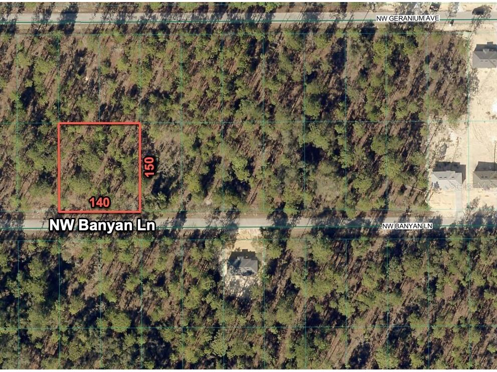 24309 NW Banyan Lane Dunnellon FL 34431 O6381809 image2
