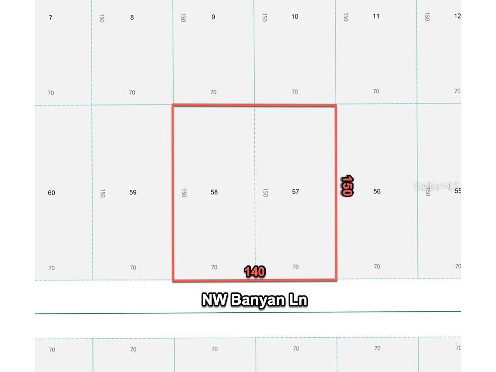 24309 NW Banyan Lane Dunnellon FL 34431 O6381809 image3