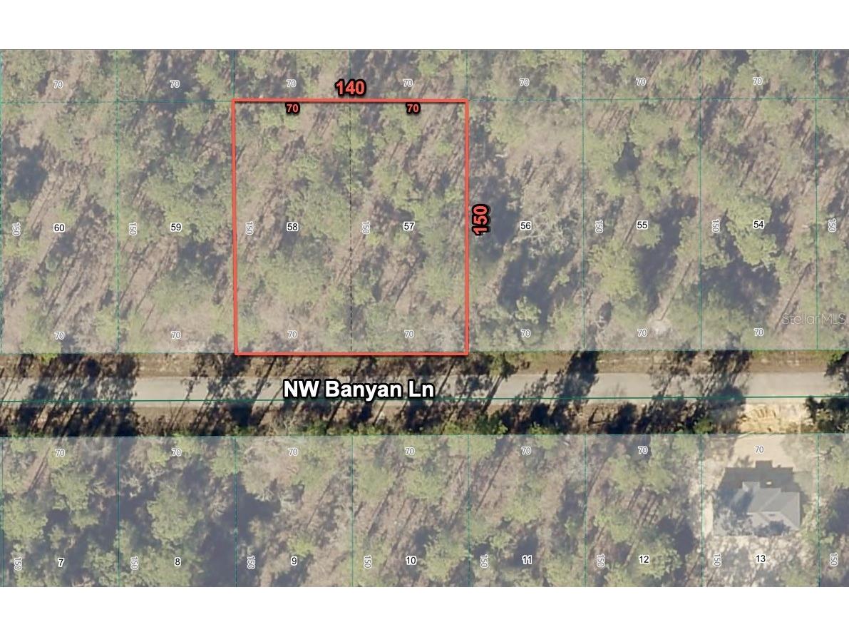 24309 NW Banyan Lane Dunnellon FL 34431 O6381809 image4