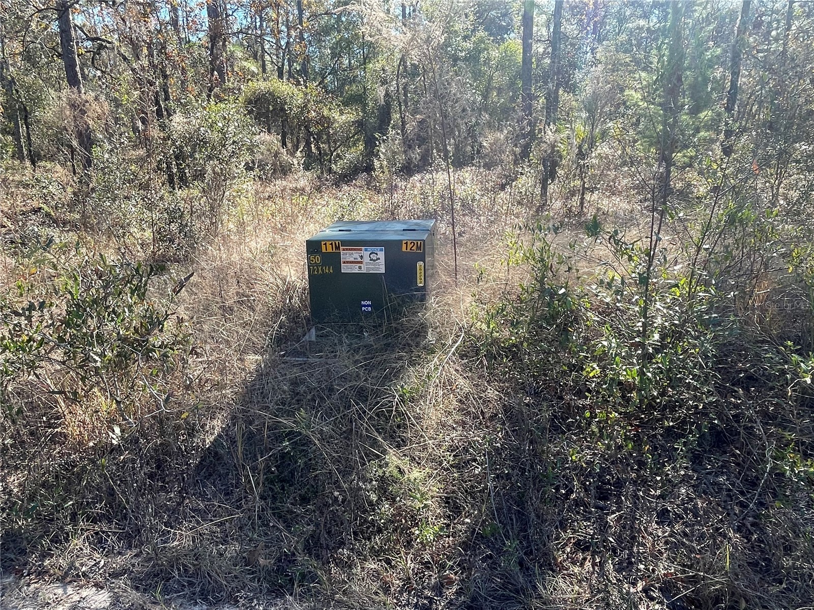 24309 NW Banyan Lane Dunnellon FL 34431 O6381809 image6