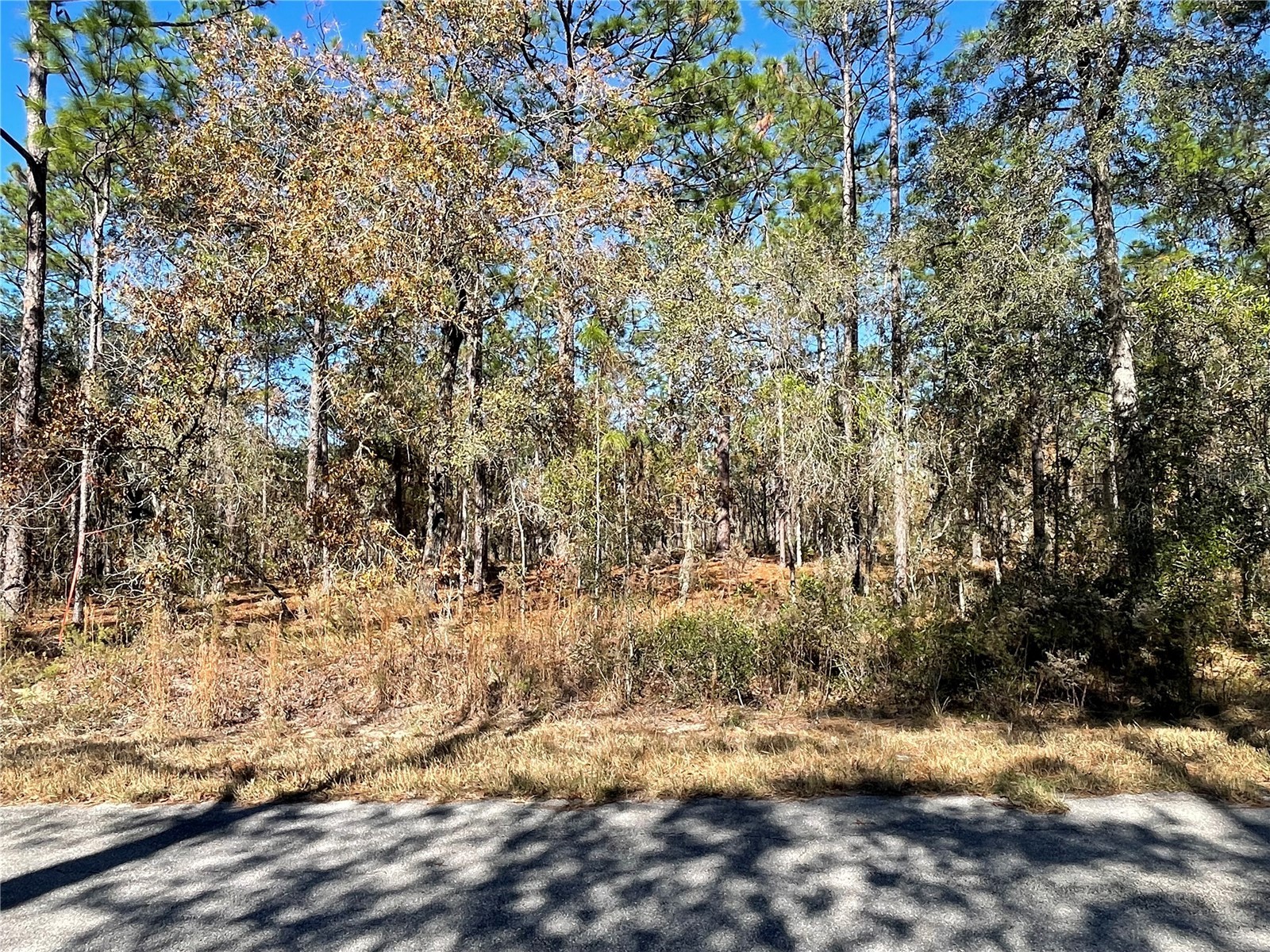 24309 NW Banyan Lane Dunnellon FL 34431 O6381809 image7