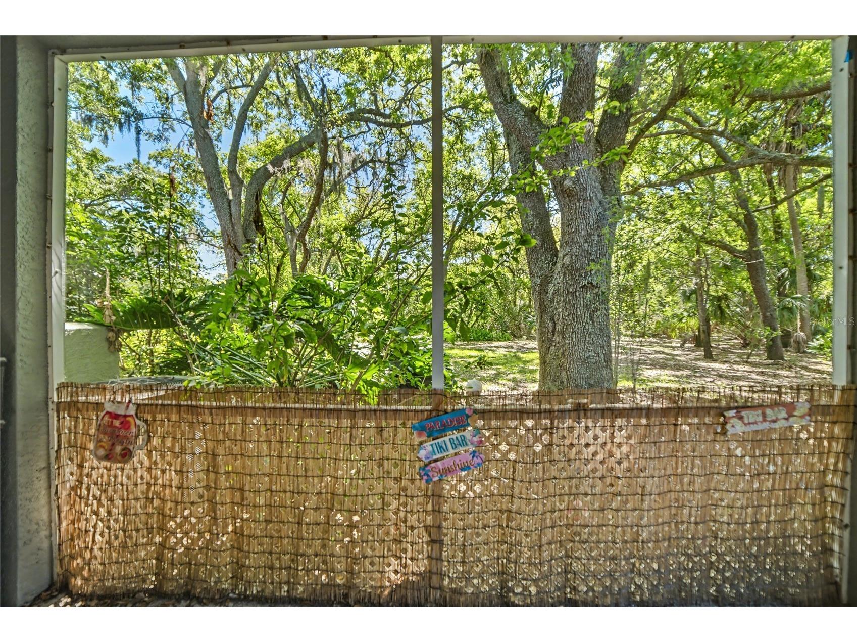 2431 Earlswood Court Brandon FL 33510 TB8488582 image19