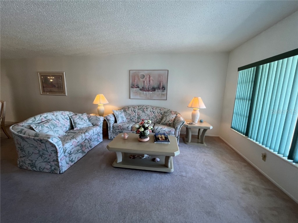 2431 Franciscan Drive #45 Clearwater FL 33763 TB8355790 image8