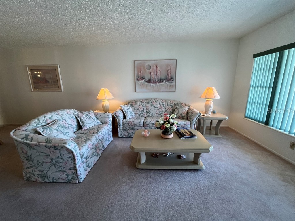 2431 Franciscan Drive #45 Clearwater FL 33763 TB8355790 image9