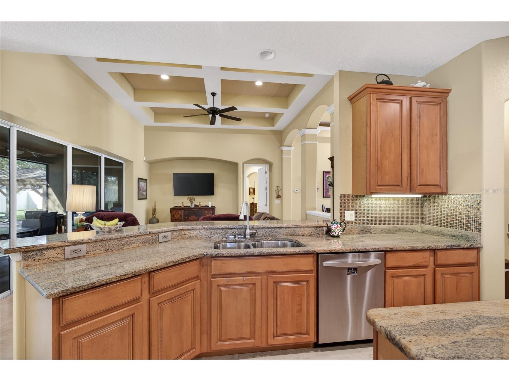 2431 Ponkan Summit Drive Apopka FL 32712 O6378184 image13