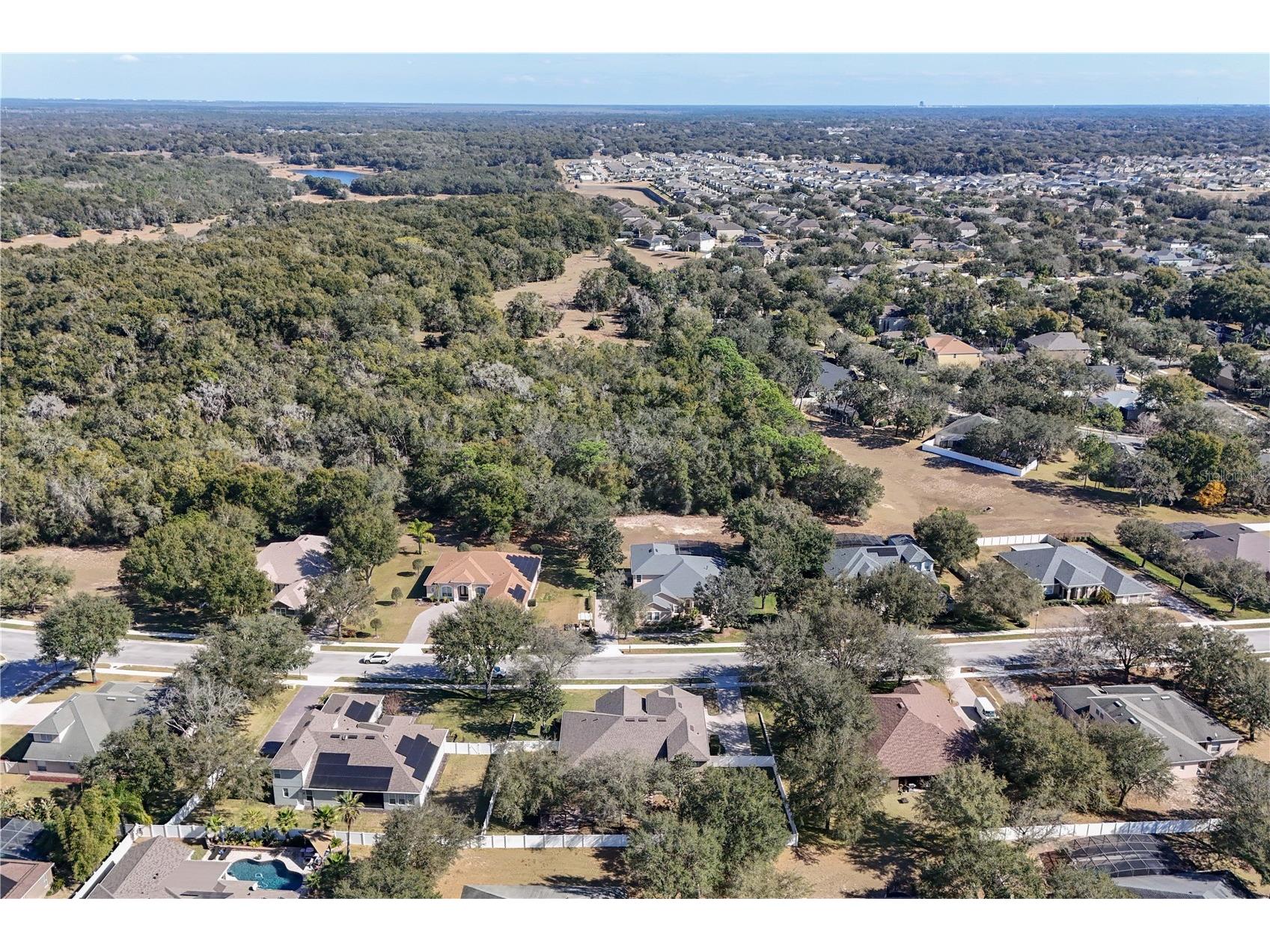 2431 Ponkan Summit Drive Apopka FL 32712 O6378184 image48