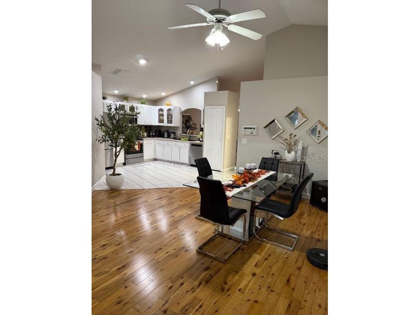 2431 Titus Court Orlando FL 32817 S5139190 image5